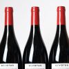 (3) 2021 Devotus Reserve Pinot Noir, Martinborough - 3