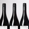 (6) 2023 Devotus Single Vineyard Pinot Noir, Martinborough - 3