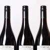 (6) 2023 Devotus Single Vineyard Pinot Noir, Martinborough - 4