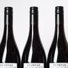 (3) 2023 Devotus Single Vineyard Pinot Noir, Martinborough - 3