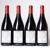 (4) 2023 Devotus Reserve Pinot Noir, Martinborough - 2