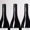 (6) 2024 Devotus Single Vineyard Pinot Noir, Martinborough - 3