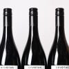 (6) 2024 Devotus Single Vineyard Pinot Noir, Martinborough - 4