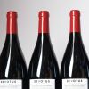 (6) 2024 Devotus Reserve Pinot Noir, Martinborough - 4