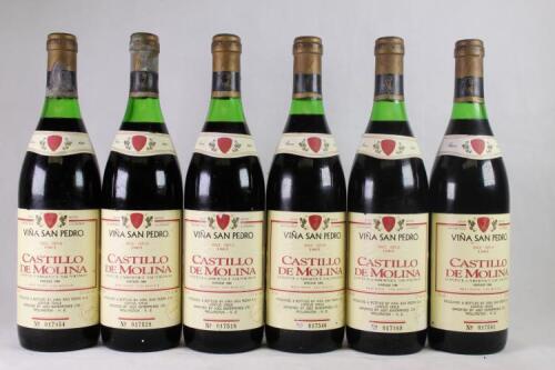 Six bottles of Vina San Pedro Castillo de Molina Cabernet Sauvignon in one lot