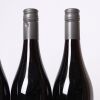 (4) 2023 Odyssey Pinot Noir, Marlborough - 4
