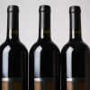 (6) 2017 Turanga Creek Les Vendanges Merlot, Hawkes Bay - 3