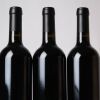 (6) 2017 Turanga Creek Les Vendanges Merlot, Hawkes Bay - 4