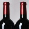 (2) 2020 Saintayme, St Emilion - 4
