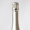 (1) 1996 Krug Clos du Mesnil Blanc de Blanc Brut - 3