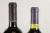 Villa Maria and Vidal Red Selection - 11