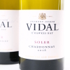 (2) 2018 Vidal Estate Soler Chardonnay, Hawkes Bay - 2