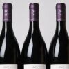 (3) 2016 Domaine Chandon de Briailles Bourgogne Gelee Royale - 3
