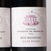 (2) 2016 Domaine Chandon de Briailles Bourgogne Gelee Royale - 2
