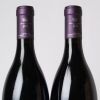(2) 2016 Domaine Chandon de Briailles Bourgogne Gelee Royale - 4