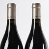 (2) 2016 Camille Giroud Marsannay Les Longeroies, Cote de Nuits - 2