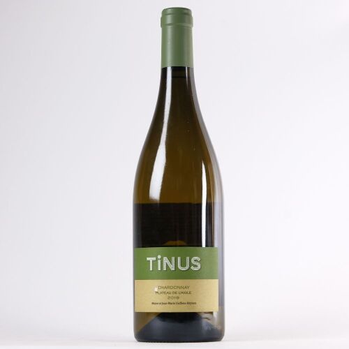 (1) 2019 Jean Marie Guffens-Heynen Tinus Chardonnay Plateau de l'Aigle, Vin de France