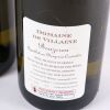 (3) 2023 Domaine de Villaine Aligote, Bouzeron - 3