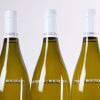 (3) 2023 Domaine de Villaine Aligote, Bouzeron - 4