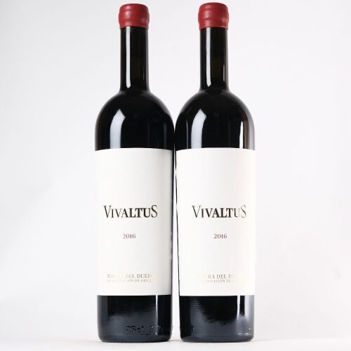 (2) 2016 Bodega Vivaltus Vivaltus, Ribera del Duero