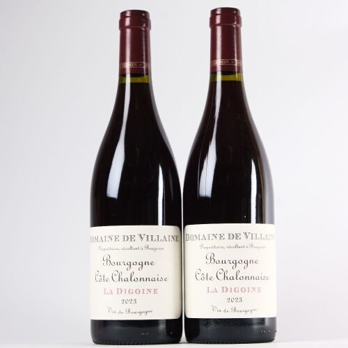 (2) 2023 Domaine de Villaine La Digoine Bourgogne, Cote Chalonnaise