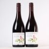 (2) 2009 Pyramid Valley Vineyards Earth Smoke Pinot Noir, Waikari