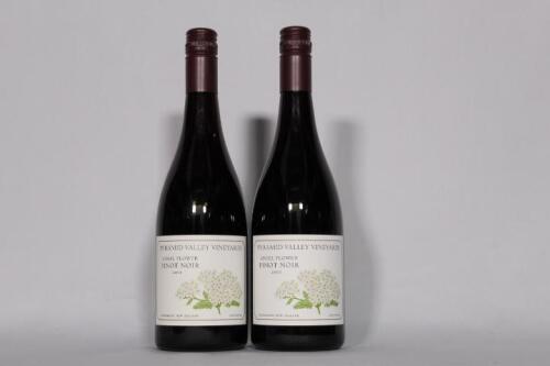 (2) 2011 Pyramid Valley Angel Flower Pinot Noir, Canterbury