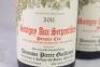 (2) 2011 Domaine Pierre Guillemot Savigny aux Serpentieres 1er Cru, Cote de Beaune - 2