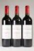 (3) 2009 Chateau La Fleur Dallon, Cotes de Bordeaux