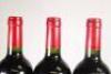 (3) 2009 Chateau La Fleur Dallon, Cotes de Bordeaux - 6