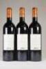 (3) 2006 Paveil de Luze, Margaux - 5