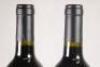 (2) 2015 Young Bacchus Estate Cabernet Sauvignon/Merlot/Cabernet Franc, Martinborough* - 6