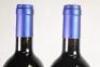 (2) 2012 Tenuta San Guido Sassicaia, Bolgheri - 7