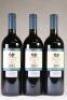 (3) 2008 Jacopo Biondi-Santi Sassoalloro, Tuscany - 3