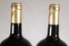 (2) 1998 Providence Private Reserve 1500ml, Matakana - 7