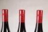 (3) 2016 Two Paddocks The Last Chance Pinot Noir, Earnscleugh - 5