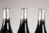 (3) 2007 Yves Cuilleron Bassenon Cote Rotie - 7