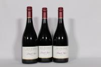 (3) 2010 Ata Rangi Pinot Noir, Martinborough