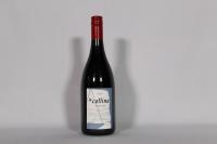 (1) 2009 Bilancia la Collina Syrah, Hawkes Bay
