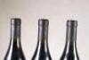 (3) 2010 Xavier Vignon Les Bedines Chateauneuf du Pape - 6