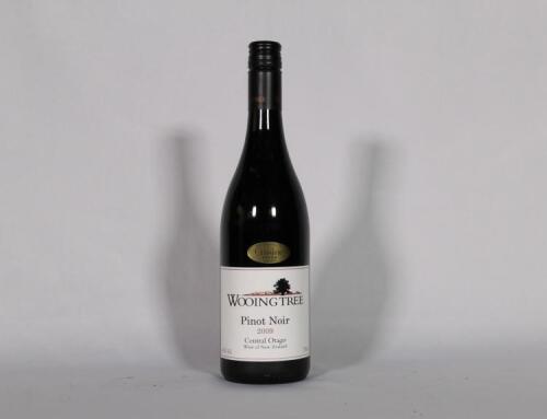 (1) 2009 Wooing Tree Pinot Noir, Central Otago