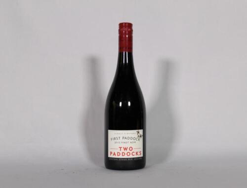 (1) 2010 Two Paddocks First Paddock Pinot Noir, Central Otago