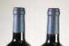 (2) 1998 CJ Pask Reserve Merlot, Gimblett Gravels - 5