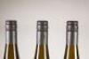 (3)&nbsp;2010 Kusuda Riesling, Martinborough - 7