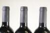 (3)&nbsp;2001 St Jerome Matuka Cabernet Sauvignon, West Auckland - 5