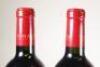 (6) 2013 Te Mata Coleraine, Hawkes Bay - 5