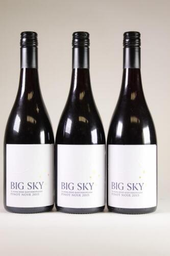 (3) 2015 Big Sky Te Muna Road Pinot Noir, Martinborough