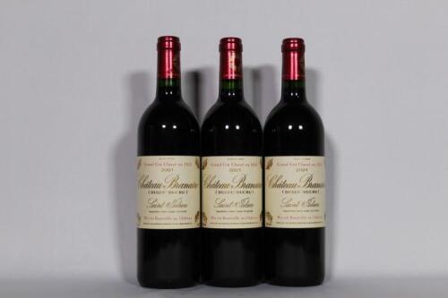 (3) 2001 Chateau Branaire Ducru, St Julien