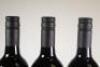 (3) 2009 Crossroads Talisman, Hawkes Bay - 7