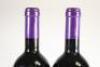 (2) 1994 Te Motu Cabernet Sauvignon/Merlot, Waiheke - 5